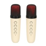 Belaidė nešiojama bluetooth kolonėlė su mokrofonu